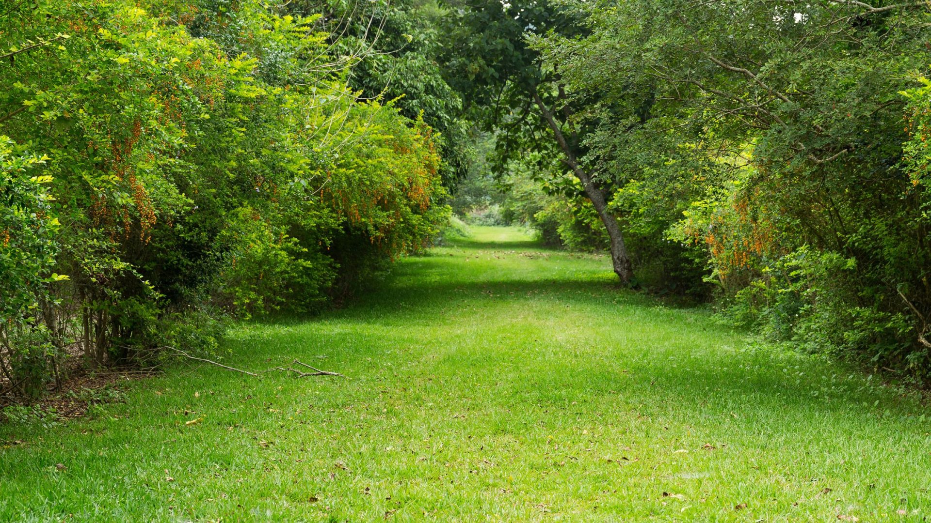 Northumberland Beauty Spots: Discover Alnwick Gardens with Hemera Holidays