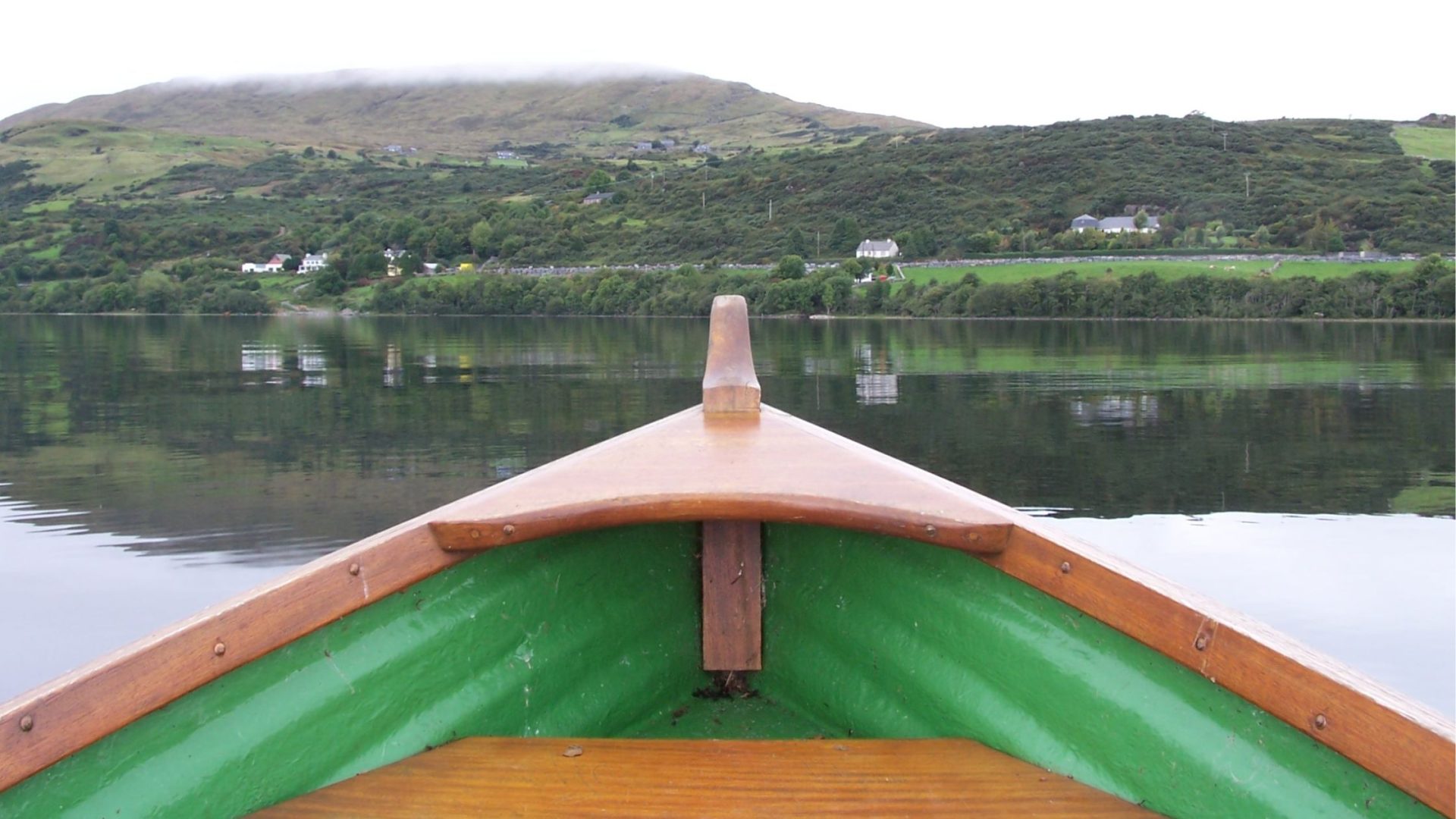Boat Trips to Farne Islands: Stay with Hemera Holidays for the Perfect Wildlife Escape