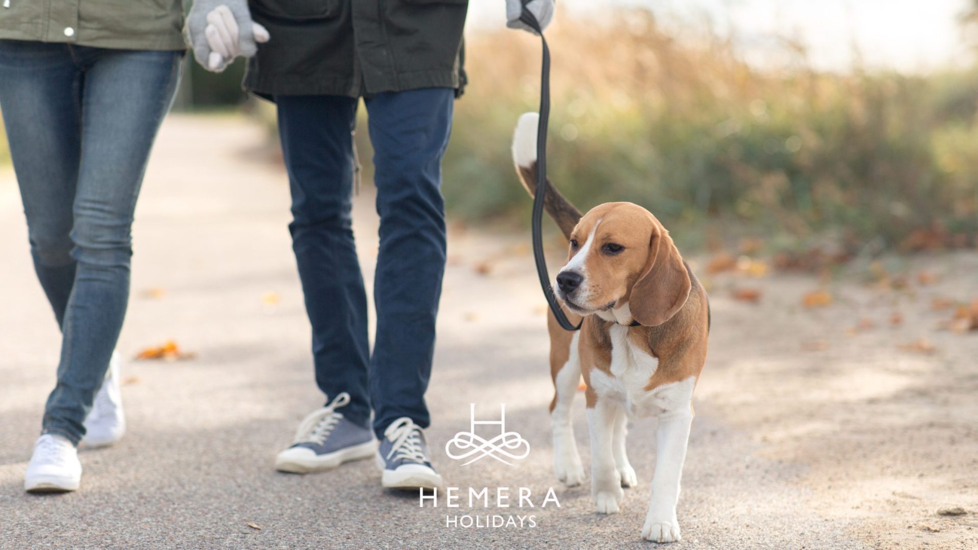 Searching for ‘holiday cottages Northumberland pet friendly’ and don’t know where to start? Make Hemera Holidays your first stop!